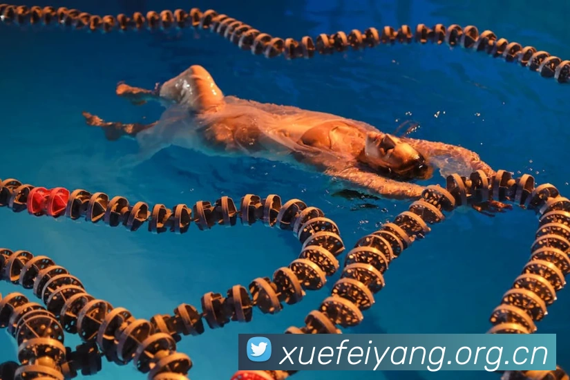 米兰体育在线登陆入口发展历程